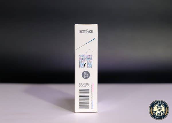 RAISON FRENCH BLACK (Nho Bạc Hà) - Ảnh 5